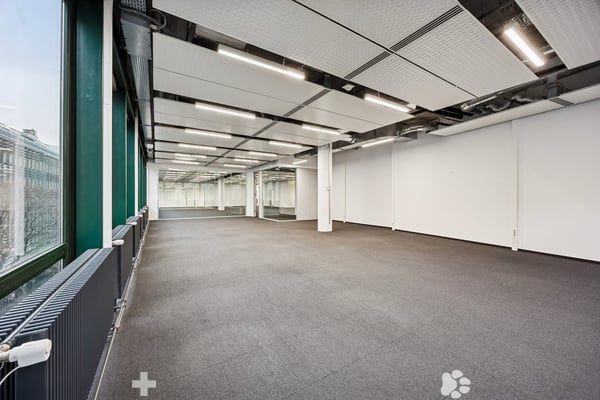 Büro-Gewerbefläche im Herzen von Biel zu vermieten 5