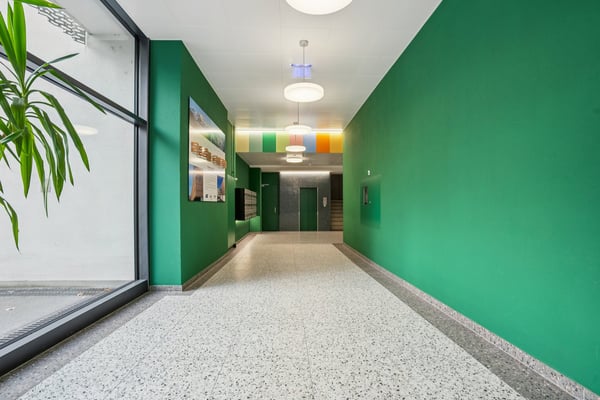 Neue 2-Zimmer-Wohnung in frisch saniertem Mehrfamilienhaus 2