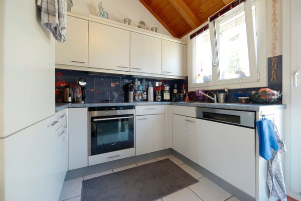 1 1/2 Zimmer-Attika-Dachwohnung mit Lift und grossen Terrassen 8