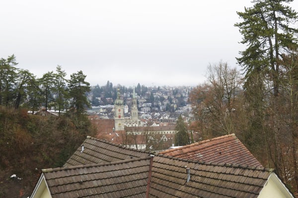 1.5-Zimmer-Loft-Wohnung in St.Gallen-St.Georgen 2