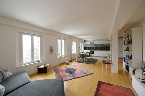 1.5-Zimmer-Loft-Wohnung in St.Gallen-St.Georgen 1