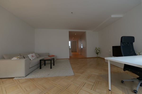St. Gallen-modernes wohnen in der Innenstadt! 8