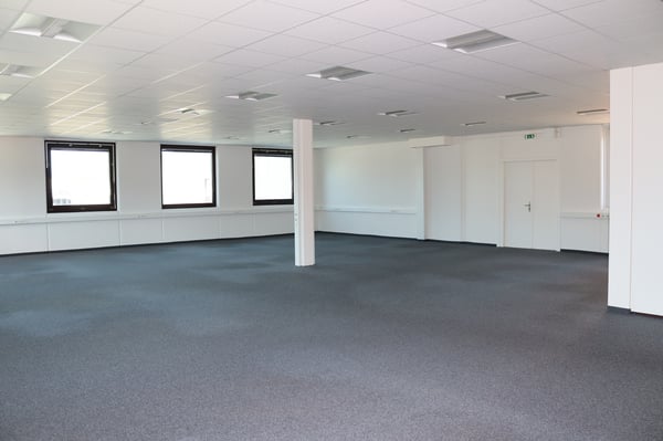 ZI ZIMEYSA - Satigny - Bureaux de 400 m2 6