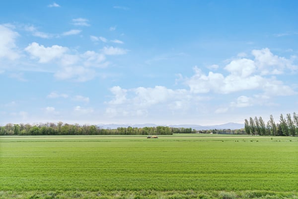 Nouveau à Gland - Grande surface administrative - bureau / 1'200m2 1