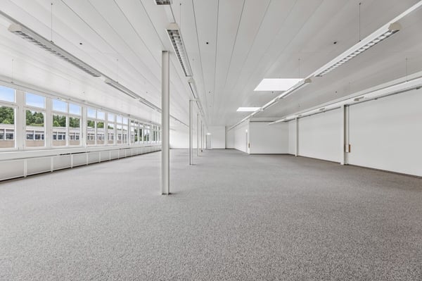 Helle, flexible Gewerbefläche in Muri 7
