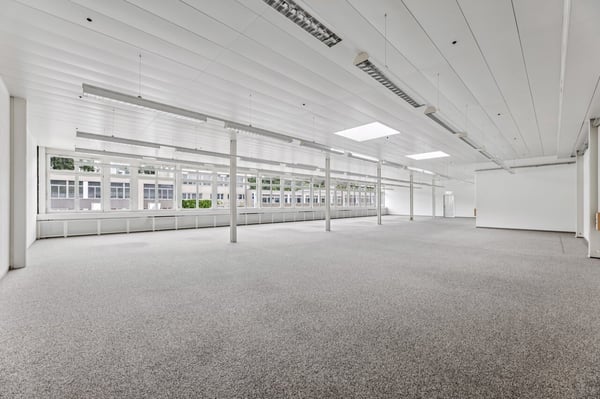 Helle, flexible Gewerbefläche in Muri 5