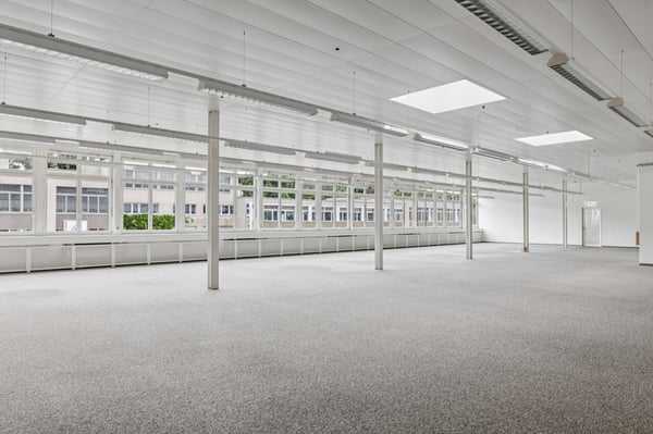 Helle, flexible Gewerbefläche in Muri 6