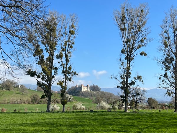 Appartement neuf de 8.5 pièces à Mathod 5