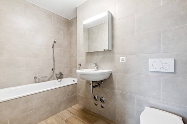 Bel appartement de 4.5 pièces + Mezzanine 10