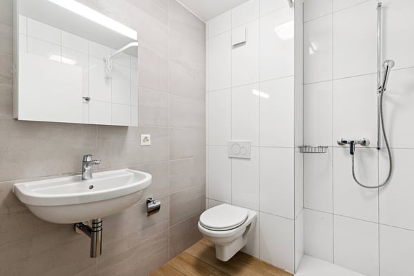 Bel appartement de 4.5 pièces + Mezzanine 11