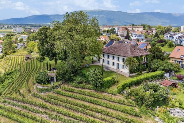 Somptueuse propriété historique sur un domaine viticole ! 2