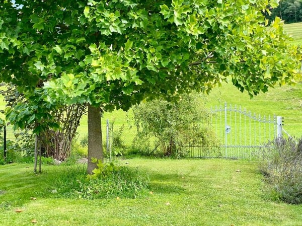 Einfamilienhaus mit Einliegerwohnung und grossem Garten 23