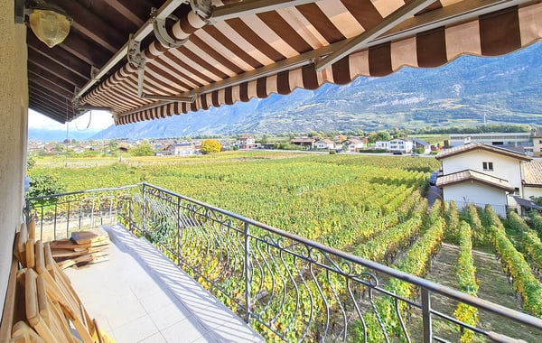 Vue dégagée et ensoleillée 1