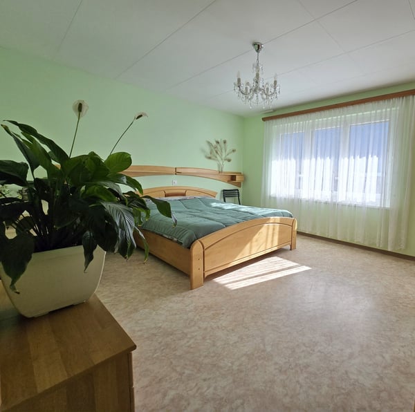 Garage double et grand hangar aménageable 4