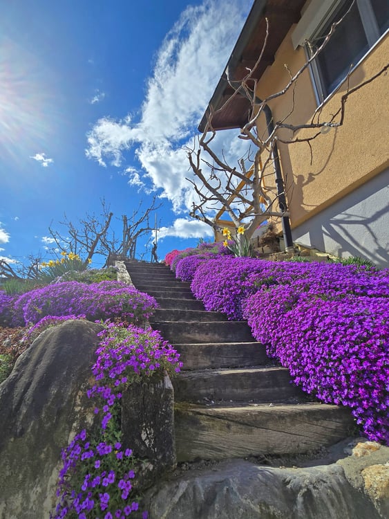 Garage double et grand hangar aménageable 1