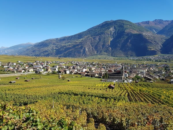 Au centre - Maison villageoise avec grange et cabanon 1