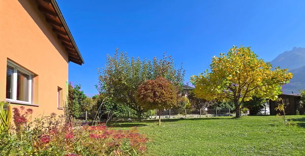 Dans un écrin de verdure... 6