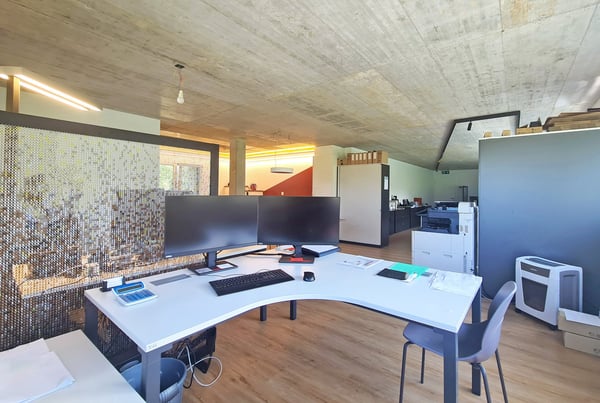 Local Triplex - Hall et bureaux 4