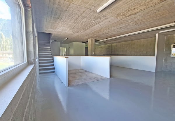 Local Triplex - Hall et bureaux 2