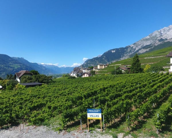 Terrain à St-Séverin 4