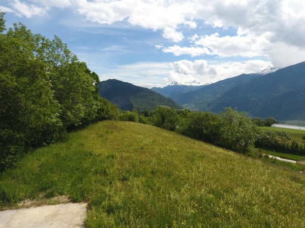 Terrain à Grimisuat 5