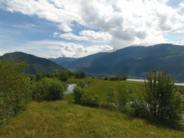 Villa individuelle 1.5 pièces à Grimisuat (Saphir +) 8