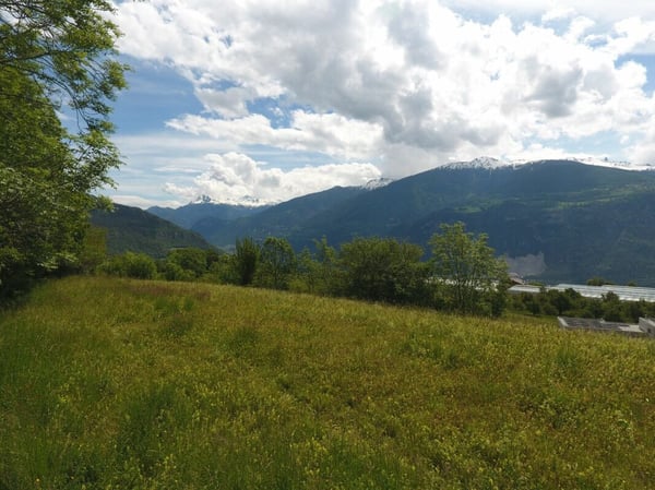 Villa individuelle 1.5 pièces à Grimisuat (Saphir +) 3