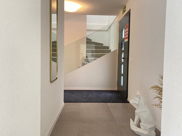 Charmante villa jumelle de 5,5 pièces à réaliser selon vos envies 10
