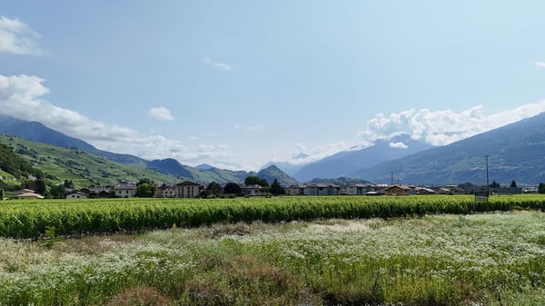 Votre future villa à Vétroz dès CHF 1'475.- par mois* 3
