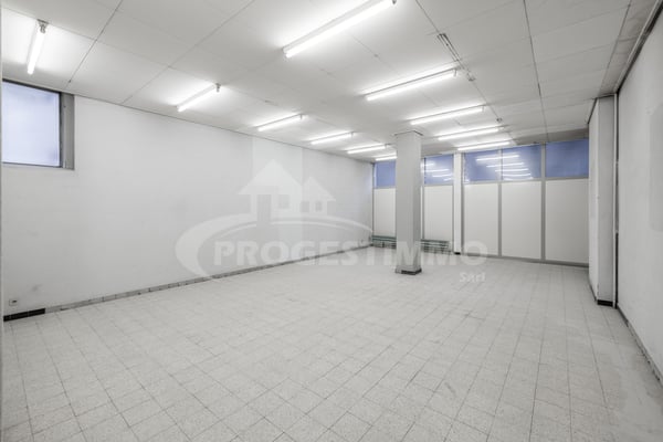 GRANDE SURFACE COMMERCIALE CENTRE VILLE 6