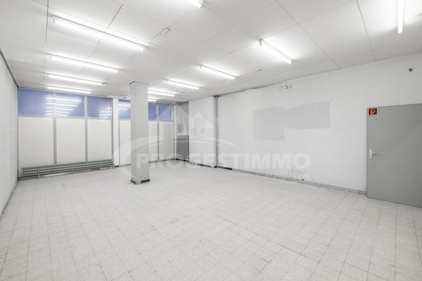 GRANDE SURFACE COMMERCIALE CENTRE VILLE 5