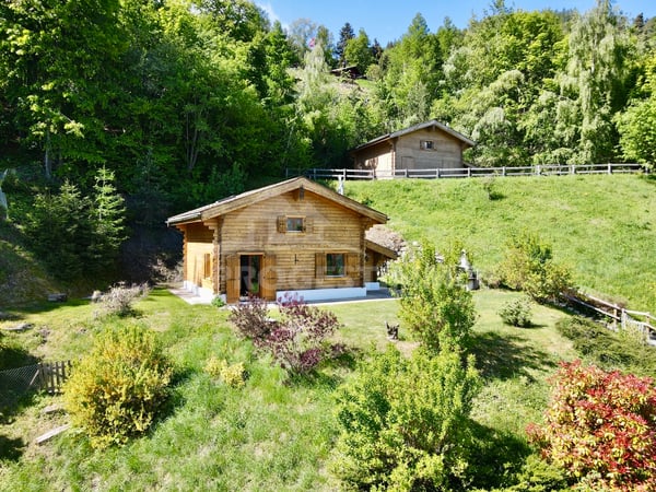 CHARMANT CHALET AVEC VUE PANORAMIQUE EXCEPTIONNELLE 1