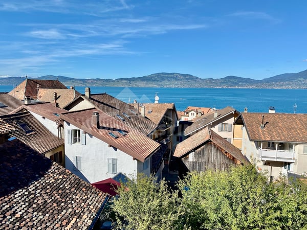 VIVEZ OU INVESTISSEZ À SAINT-GINGOLPH 12