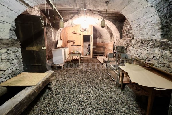 IMMEUBLE A FORT POTENTIEL - DEUX LOGEMENTS ET GRANGES TRANSFORMABLES 12