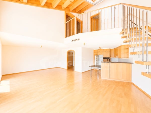 LUMINEUX DUPLEX AUX BAINS DE SAILLON 2