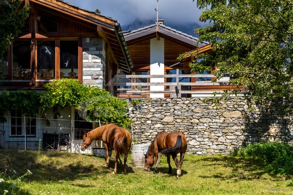 ENSEMBLE IMMOBILIER AVEC TERRAIN CONSTRUCTIBLE EN STATION 1