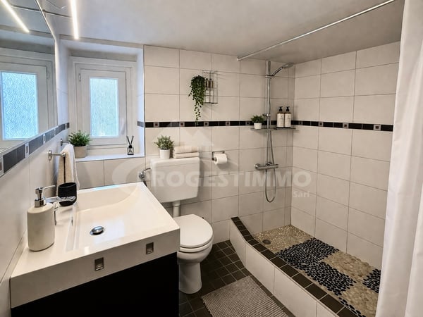 SUPERBE APPARTEMENT 3 PIÈCES ALLIANT AUTHENTICITÉ ET MODERNITÉ 4