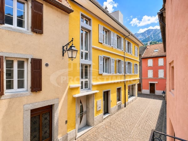 IMMEUBLE DE RENDEMENT AU COEUR DE LA VILLE 1