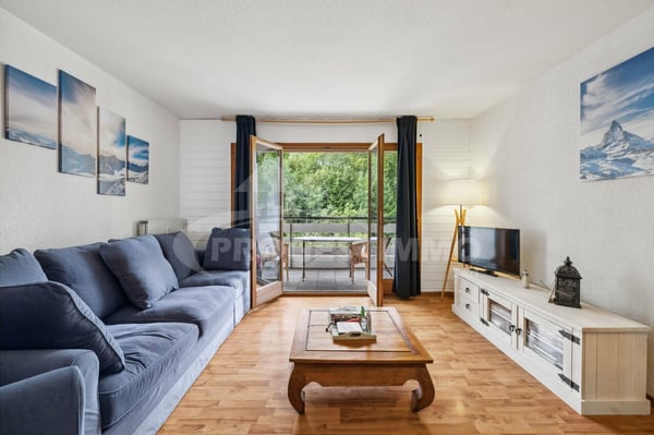 CHARMANT 2.5 PIÈCES AVEC VUE DÉGAGÉE SUR LA PLAINE 1