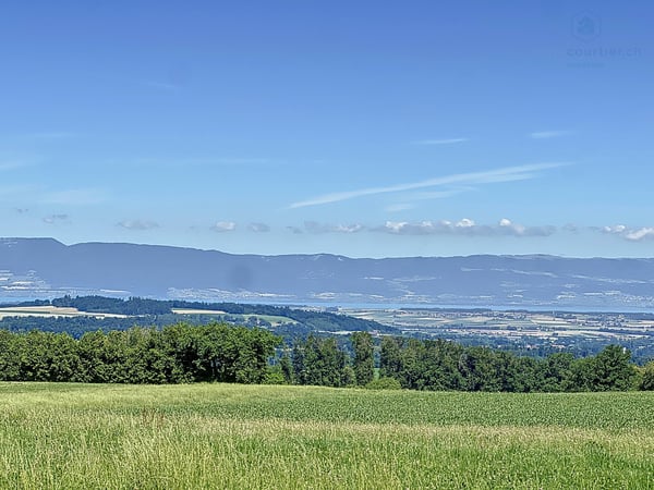 Belle propriété proche de Fribourg en bordure de terrains agricoles 2