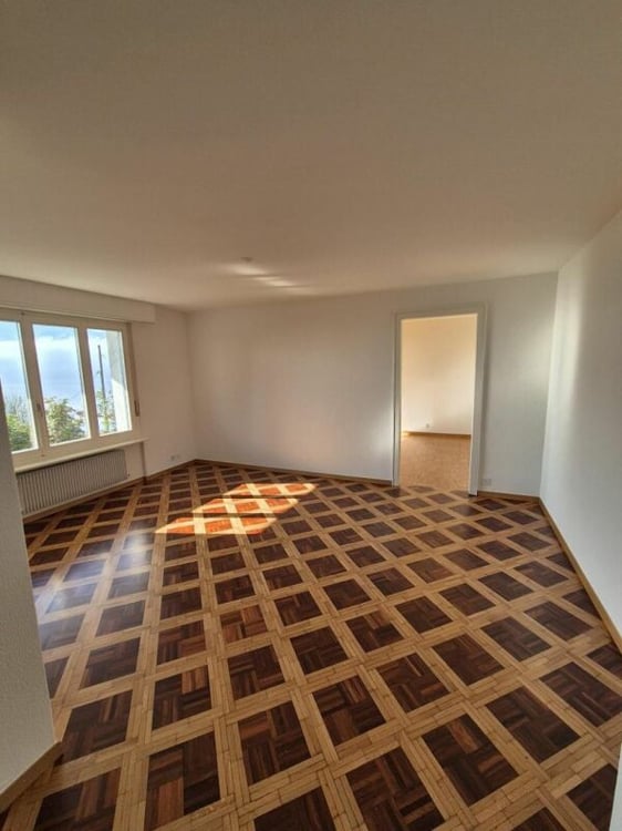 Immeuble locatif à Chardonne 18