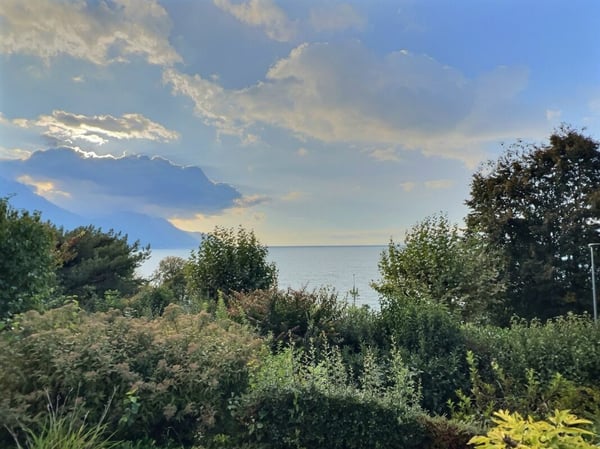 Splendide villa individuelle avec vue panoramique sur le lac Léman 2