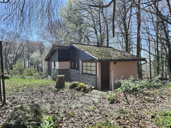 Chalet avec terrains forestiers et agricoles 4