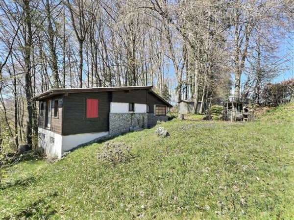 Chalet avec terrains forestiers et agricoles 1