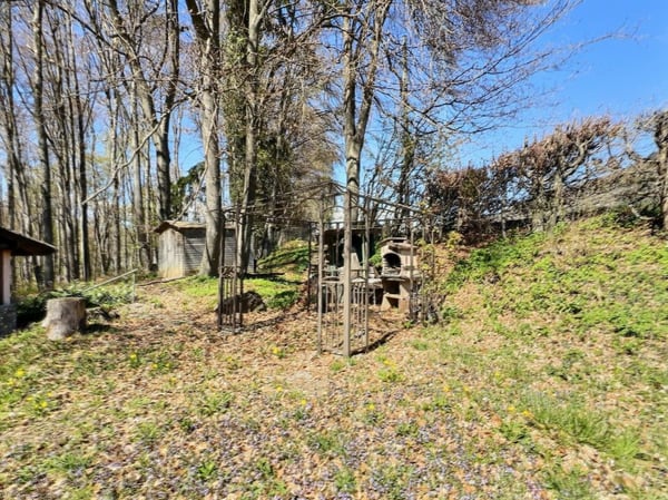Chalet avec terrains forestiers et agricoles 2