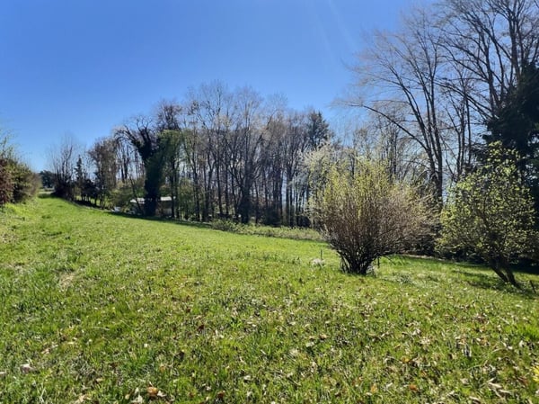 Chalet avec terrains forestiers et agricoles 3