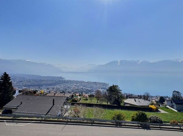 Duplex de 3.5 pièces + bureau avec fort potentiel et vue imprenable 3