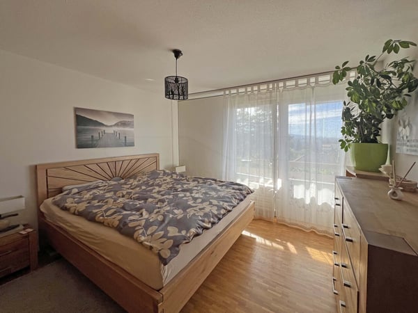 Appartement 1.5 pièces avec vue panoramique 5