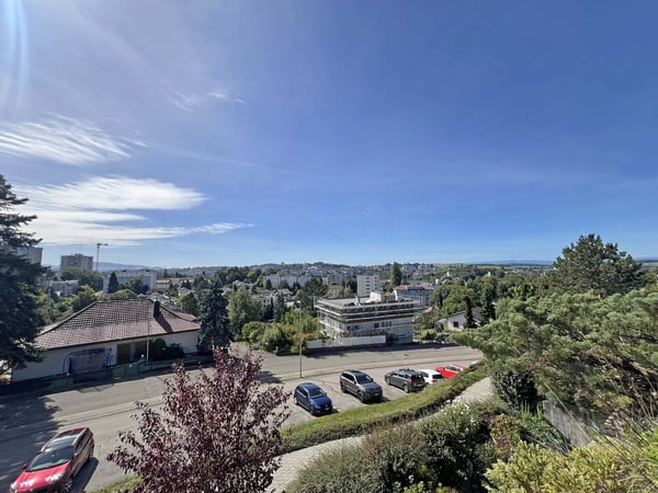 Appartement 1.5 pièces avec vue panoramique 1