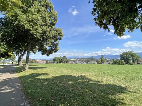 Nouvelle promotion à Fribourg ! Appartements de 1.5 pièces 5